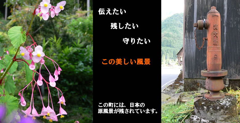 棚田・里山の風景