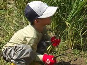 お子さまも安心安全