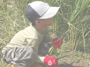 お子さまも安心安全