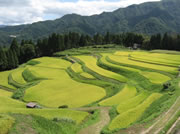ふるさと兵庫県香美町と市川町